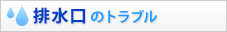 �r�����̃g���u��