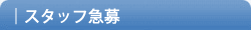 �X�^�b�t�}��