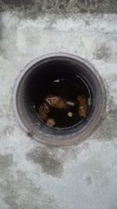 排水桝から汚水があふれる
