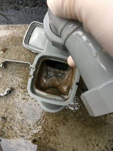 キッチン排水口の分解清掃