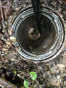 排水管高圧洗浄