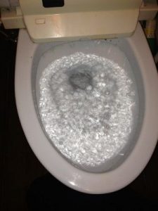 千葉市のトイレつまり事例